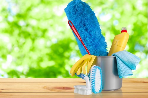 Professional sofa cleaning service for a Stjohnswood home
