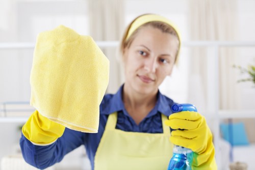 Facade cleaning service for period and modern buildings in St John’s Wood
