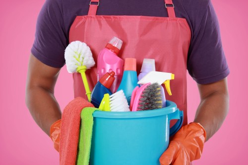 Professional steam carpet cleaning for a home in Stjohnswood