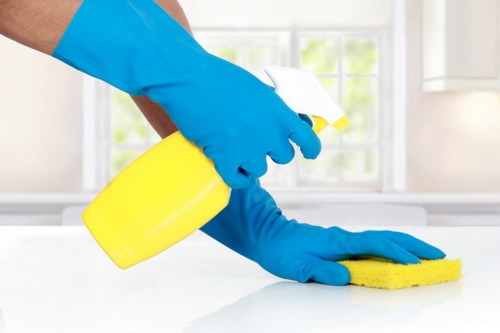 Local domestic cleaner working in Stjohnswood