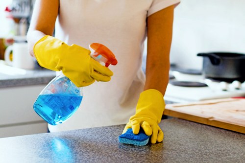 Local pet stain cleaning service for homes and businesses in Stjohnswood