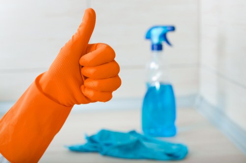 Recurring cleaning routine for a local apartment