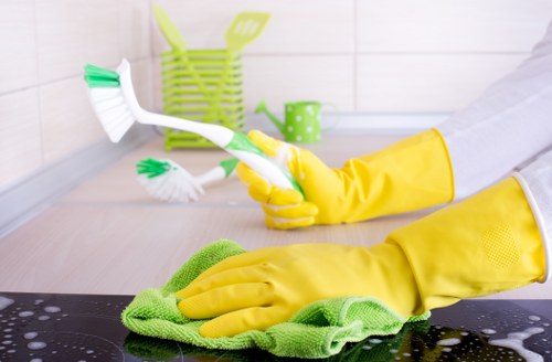 Low-impact carpet cleaning equipment and reusable supplies
