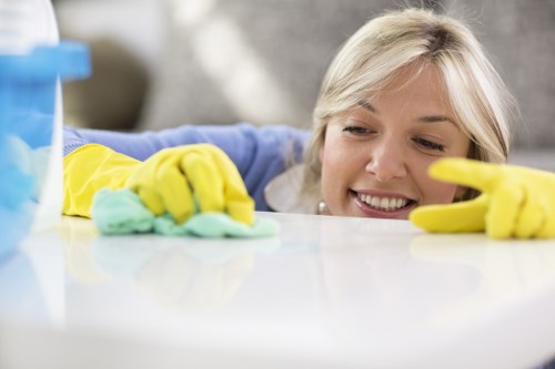Close-up of deep cleaning for hard flooring in a modern St John’s Wood apartment