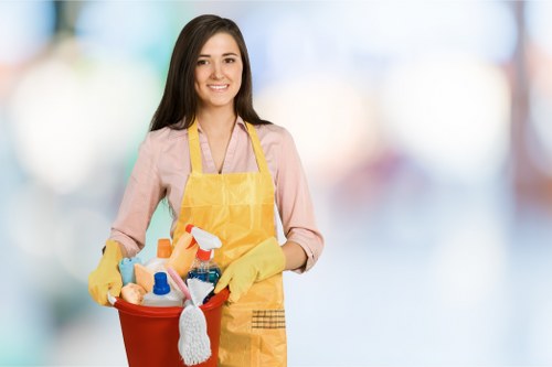 Local cleaner working in a Stjohnswood property