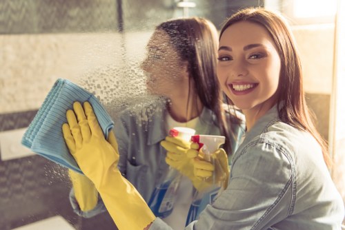 Bathroom and surface cleaning during move in cleaning in Stjohnswood