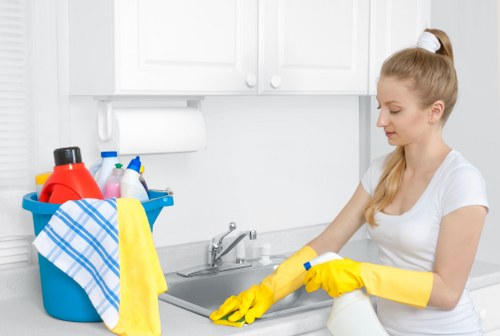 Deep cleaning for a Stjohnswood apartment or family home
